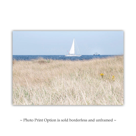 Block Island Sailing Wall Art - Rhode Island Atlantic Ocean Beach Grass