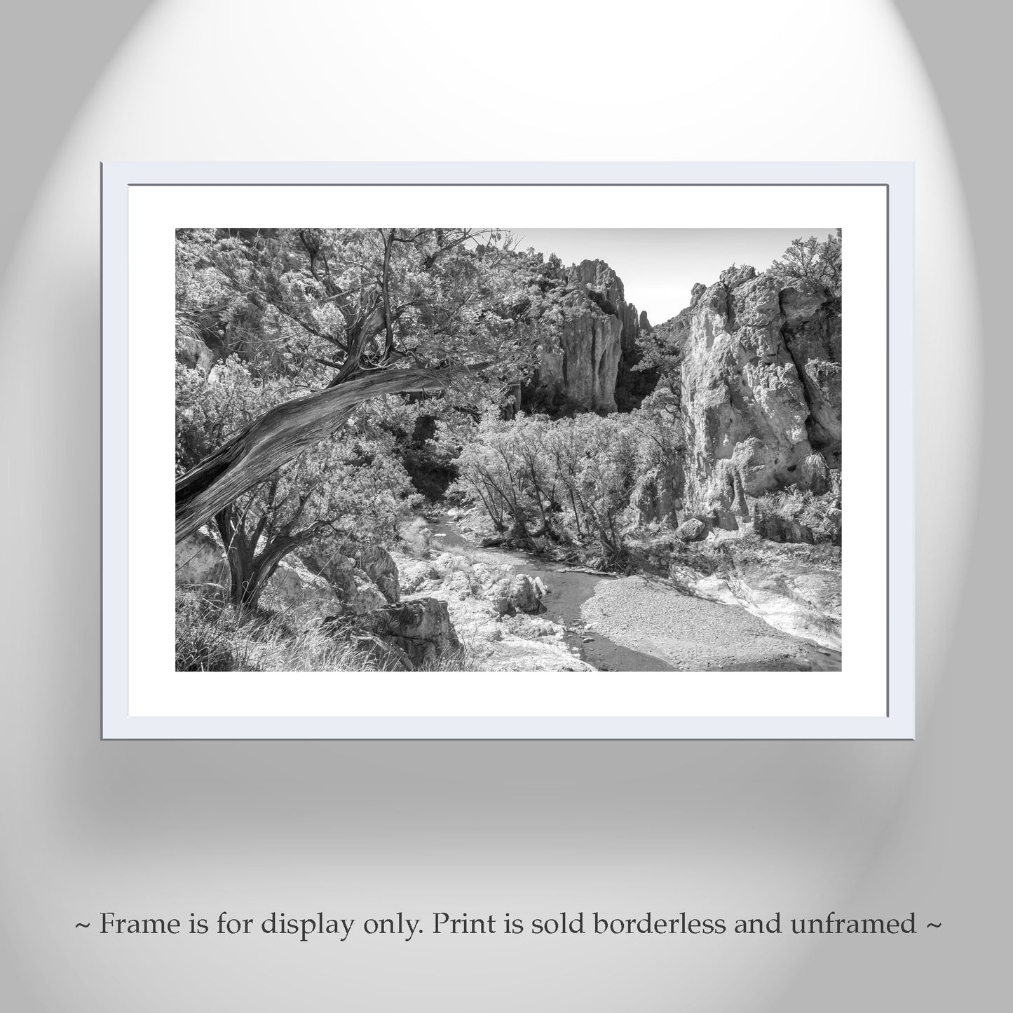Black & White Desert Canyon Landscape Art with Wilderness Canyon