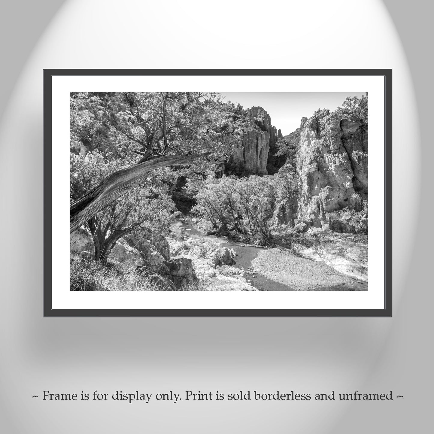 Black & White Desert Canyon Landscape Art with Wilderness Canyon
