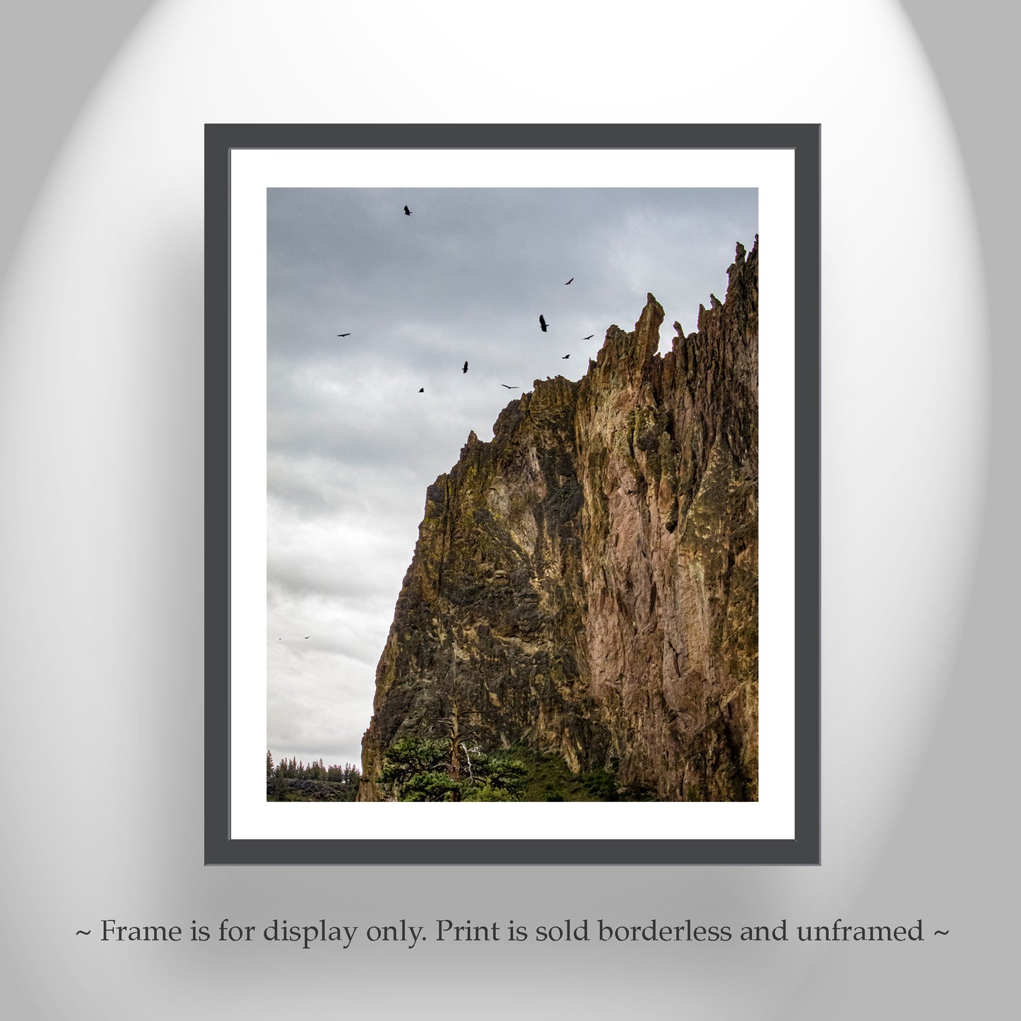 Smith Rock State Park Central Oregon Desert Art with Soaring Hawks