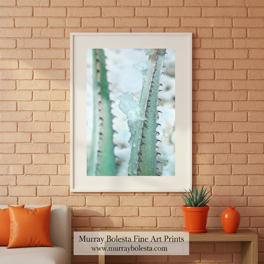 Winter Desert Agave Print as Botanical Art | Tucson Arizona by Murray Bolesta
