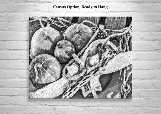 Gourd Still Life Art Southwest USA in Black & White | Tucson AZ