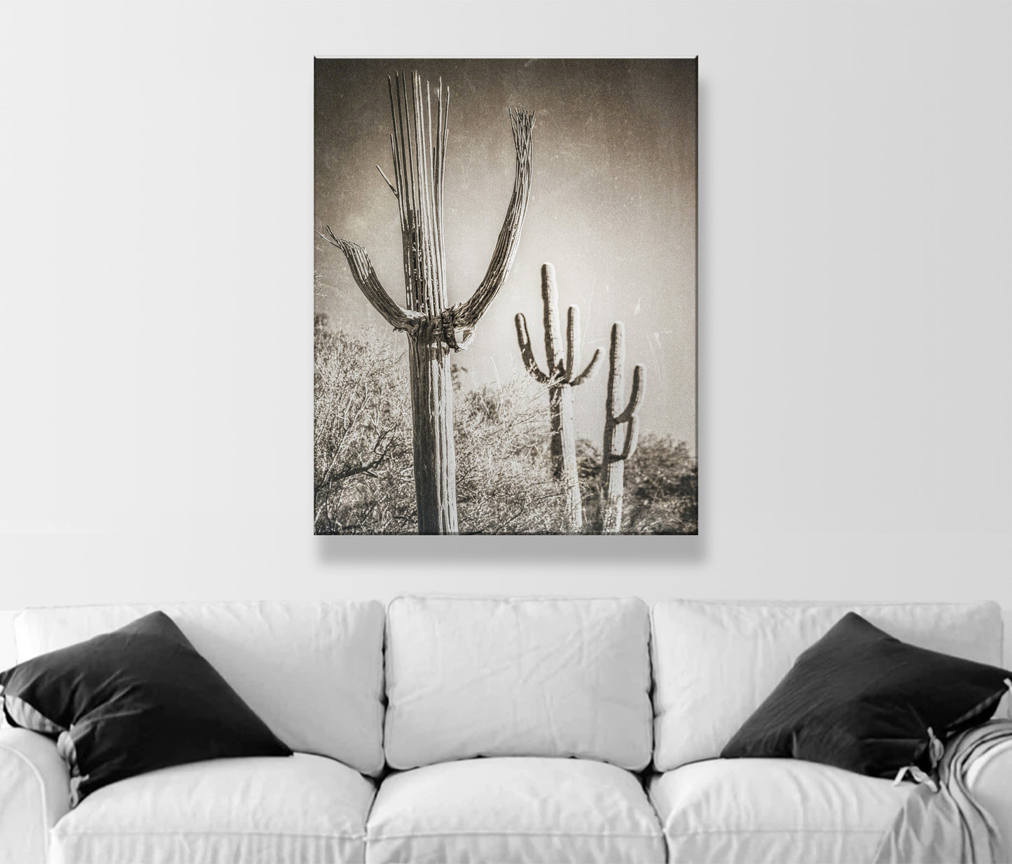Desert Wall Decor with Sepia Cactus Art | Framed Art Print Gift | Rustic Southwestern Decor in Vintage Style