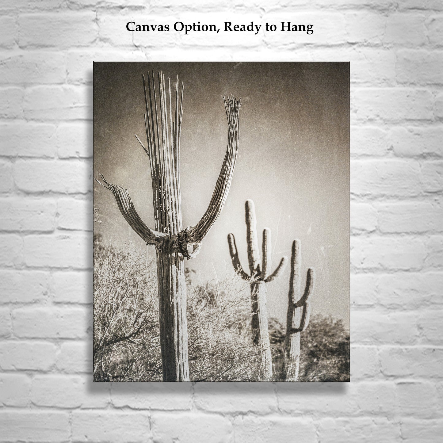 Desert Wall Decor with Sepia Cactus Art | Framed Art Print Gift | Rustic Southwestern Decor in Vintage Style