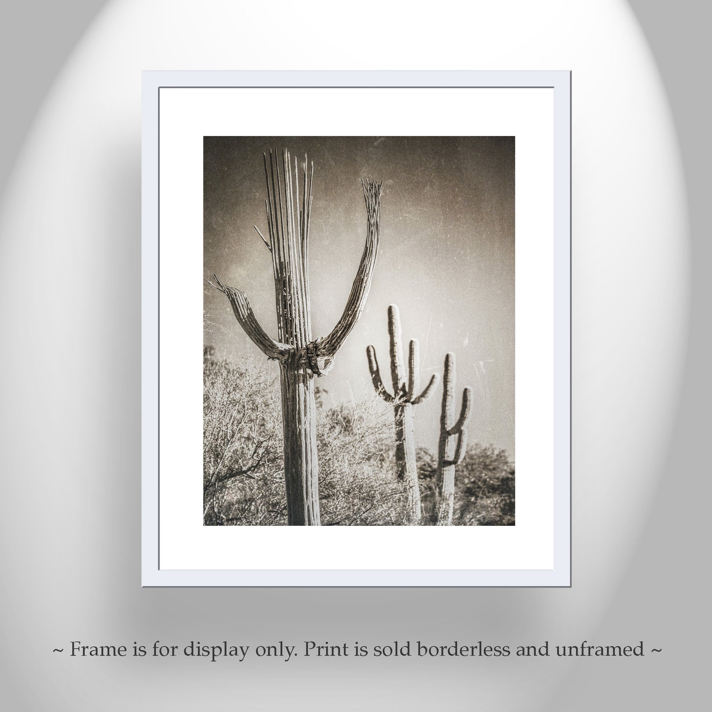 Desert Wall Decor with Sepia Cactus Art | Framed Art Print Gift | Rustic Southwestern Decor in Vintage Style