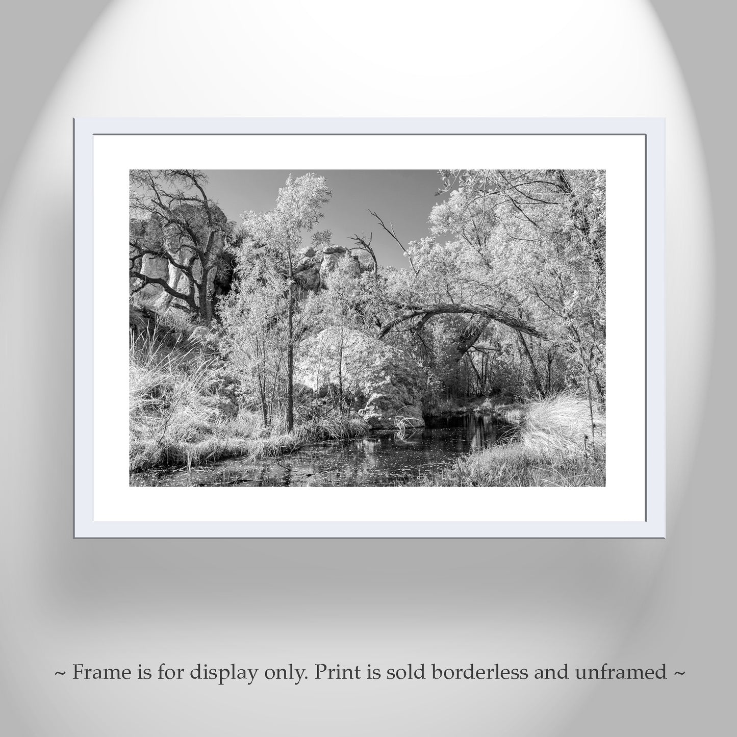 Arizona Desert Canyon Stream Oasis Art in Black and White