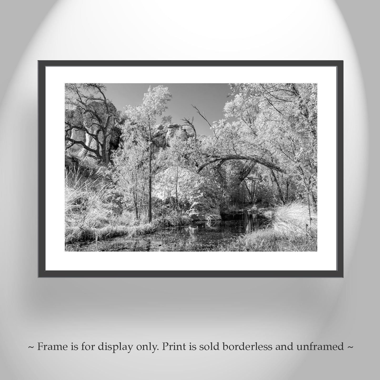 Arizona Desert Canyon Stream Oasis Art in Black and White