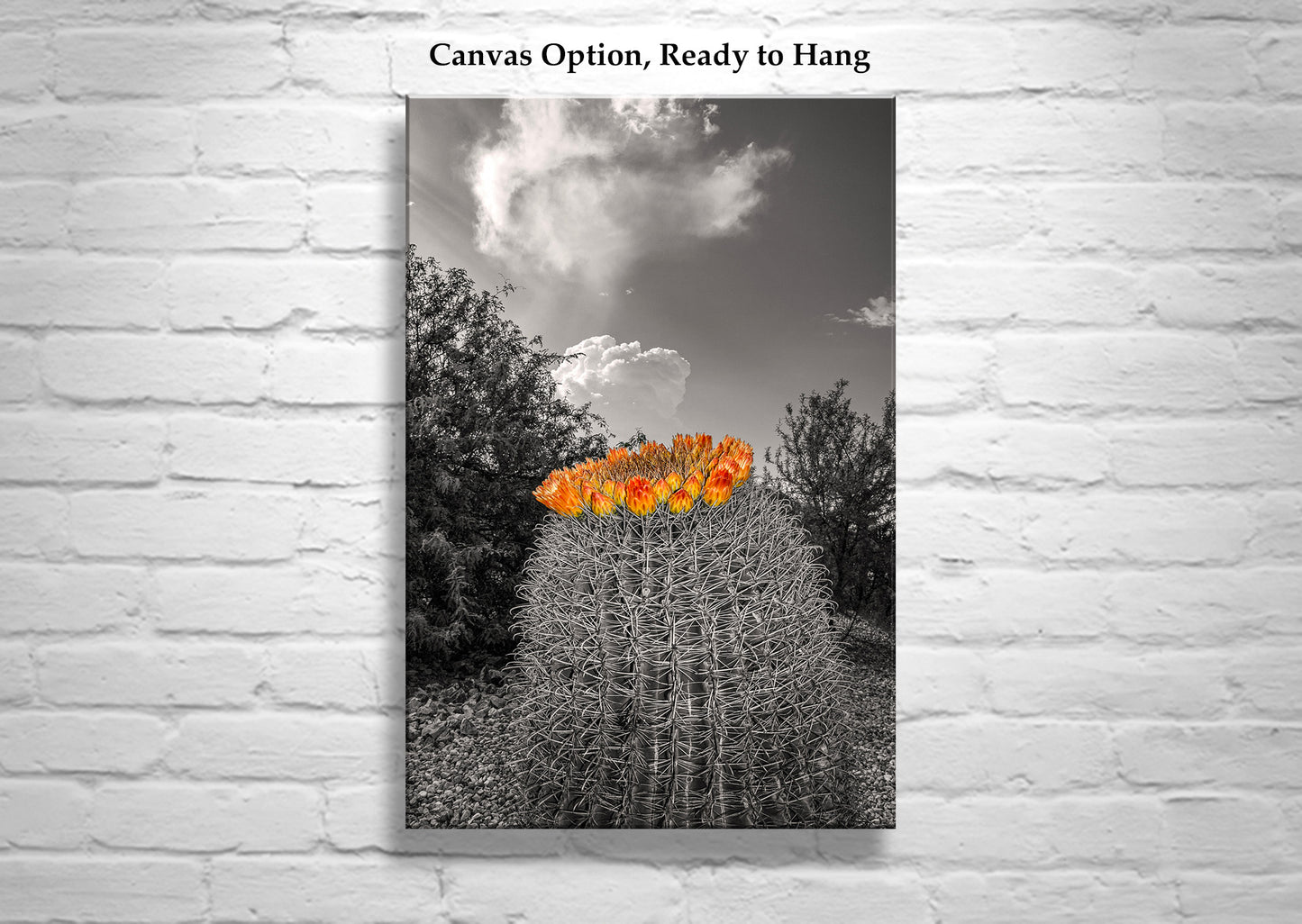 Desert Sky Art Print with Barrel Cactus as Unique Southwest Decor