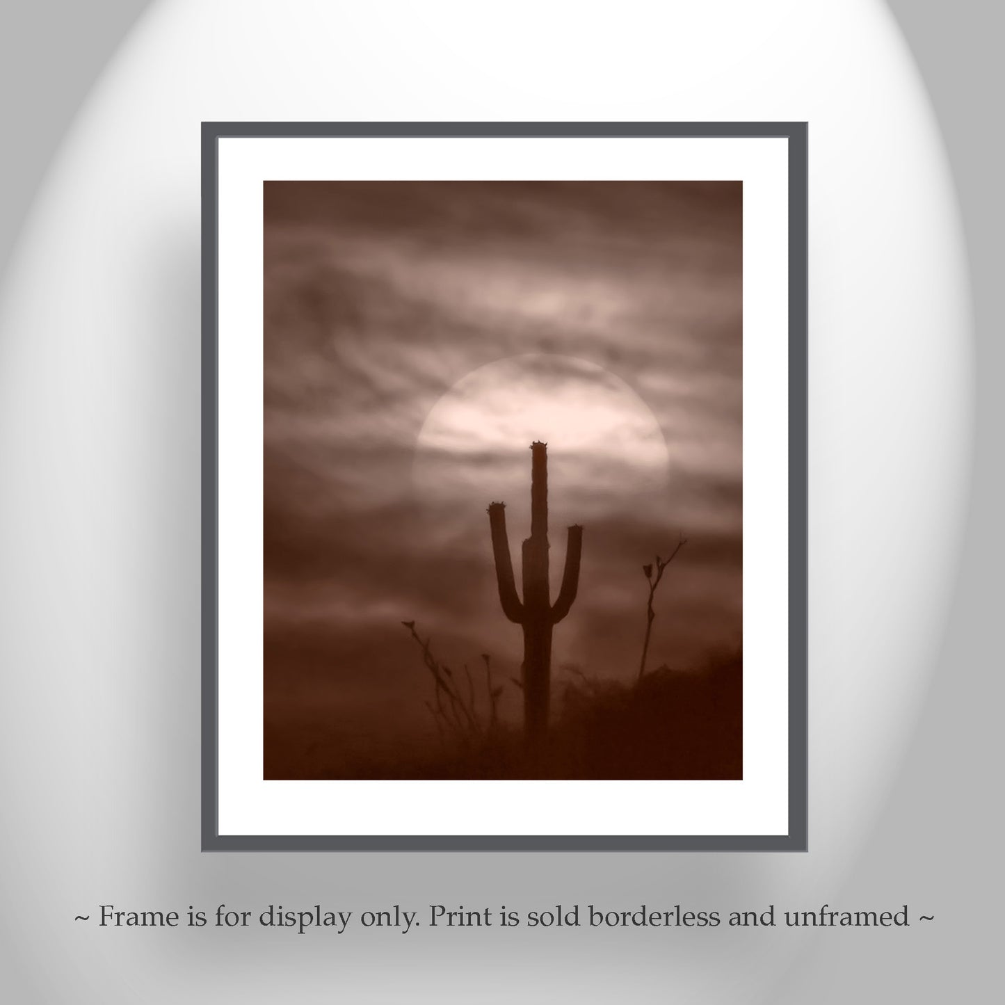 Desert Cactus Sunset as Southwest Design | Tucson Landscape Art