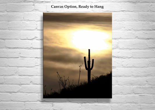 Desert Sunset Art with Arizona Cactus | Southwestern Decor Print