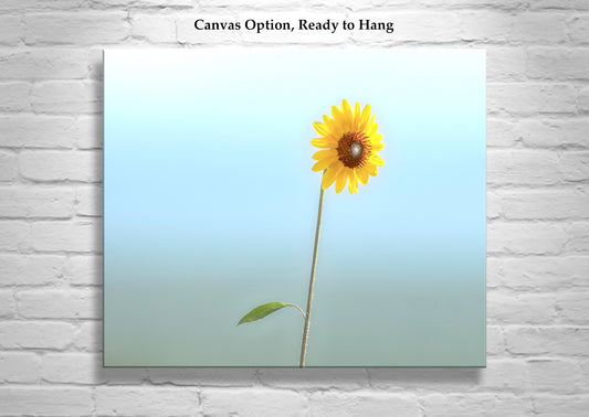 Minimalist Flower Print with Wild Sunflower as Elegant Nature Art