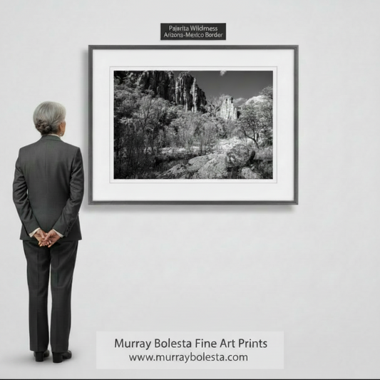 A black and white arizona canyon photograph depicting a rugged, rocky landscape with towering cliffs, trees, and a small stream in the foreground. Sycamore Canyon Arizona by Murray Bolesta
