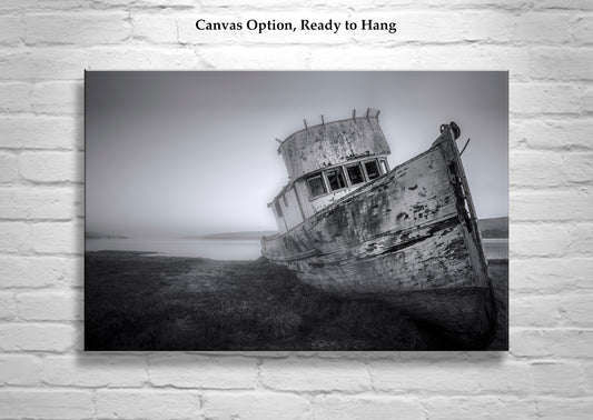 Old Boat Shipwreck Wall Art at Tomales Bay California Coast