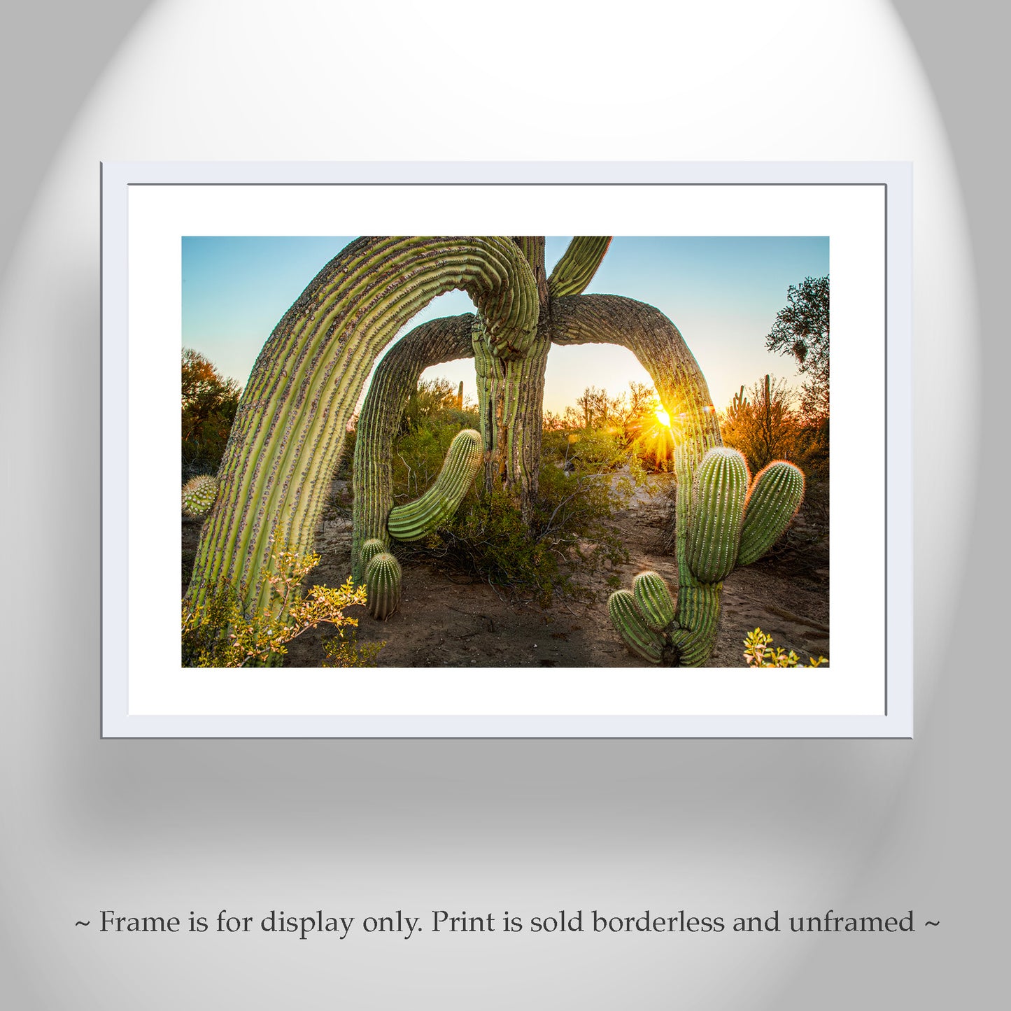 Desert Southwest Wall Art in Tucson Arizona with Saguaro Cactus Sunrise