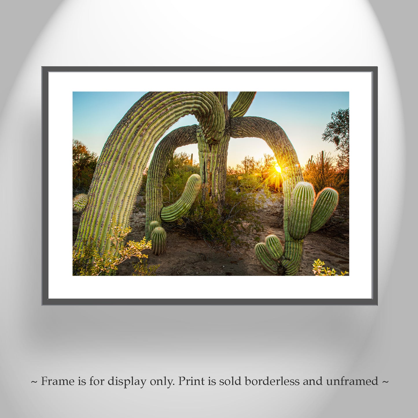 Desert Southwest Wall Art in Tucson Arizona with Saguaro Cactus Sunrise