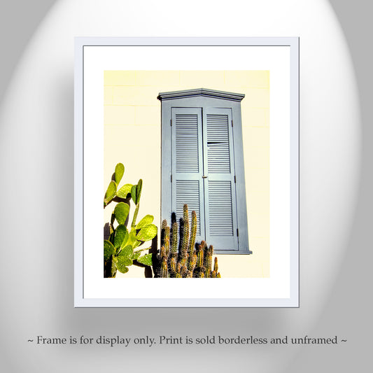 Blue Shutter Architecture Print in Southwestern Style with Desert Cactus