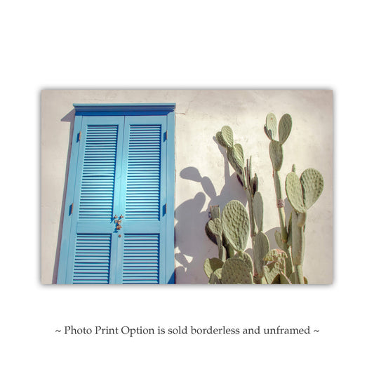 Southwestern Wall Art Tucson Museum of Art Blue Shutters and Green Cactus