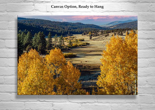 Quaking Aspen Western Landscape Art Print on Framed Canvas | Fall Photography