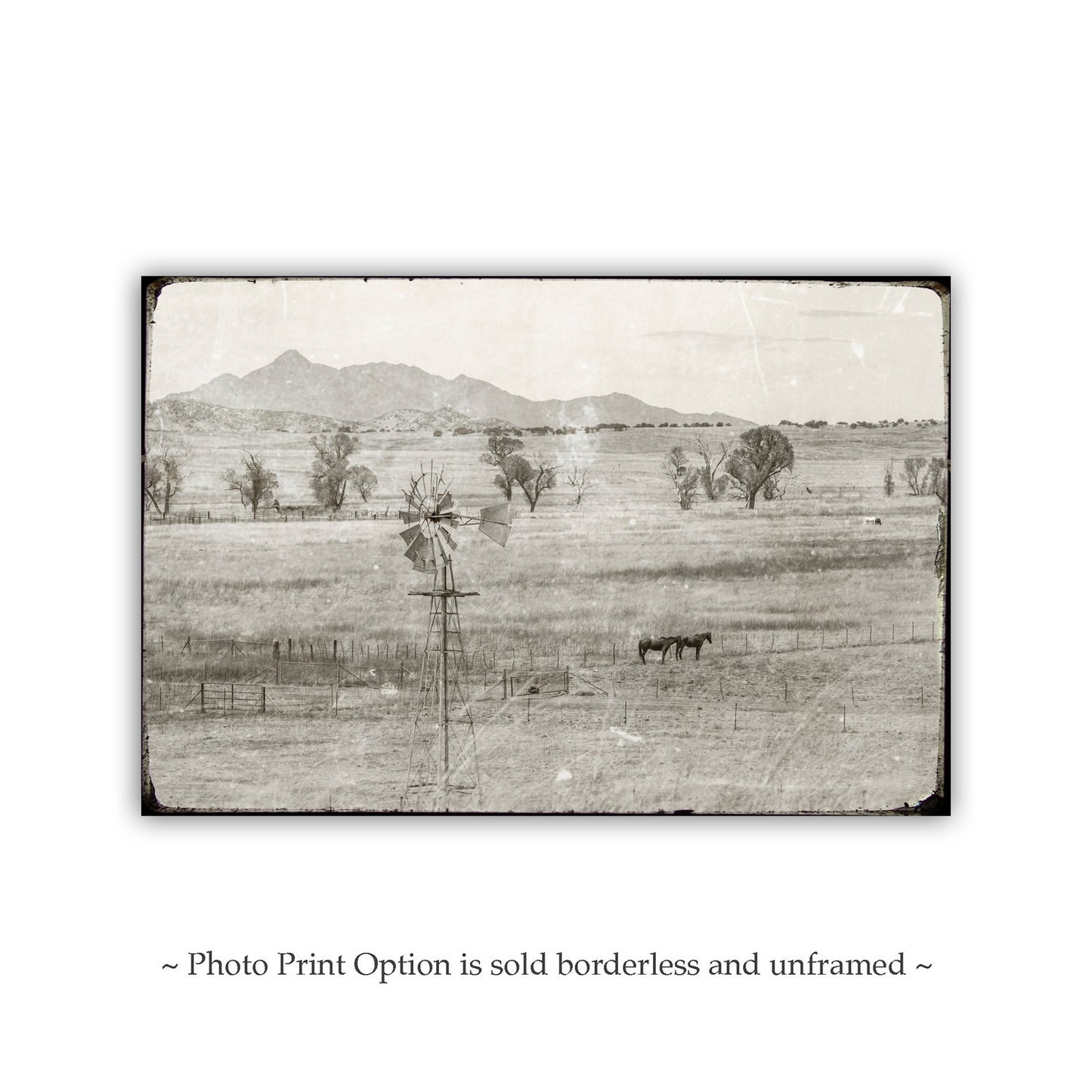 Vintage Santa Rita Mountain Arizona Horse Ranch Landscap | Rustic Equestrian Art Print | Western Art Gift