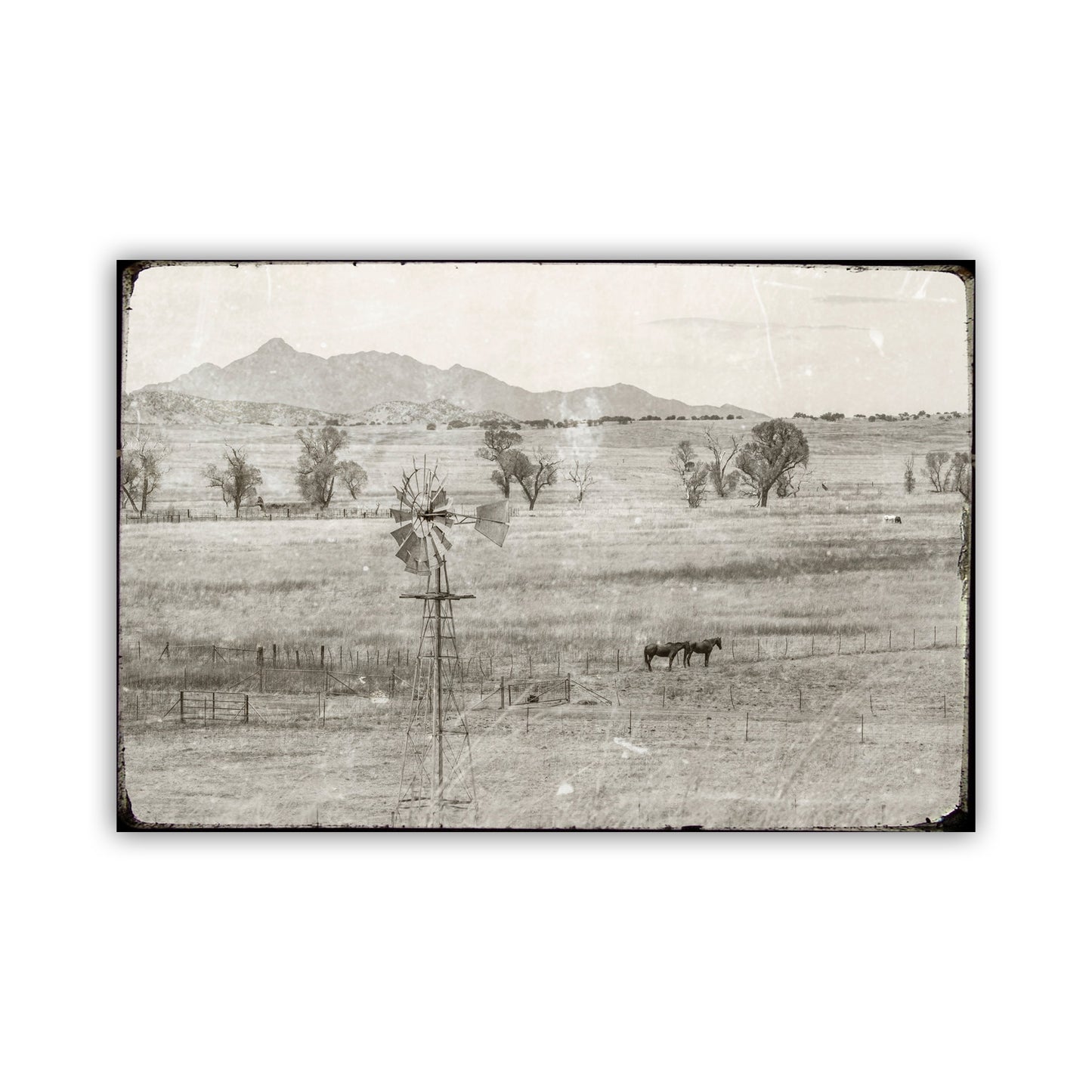Vintage Santa Rita Mountain Arizona Horse Ranch Landscap | Rustic Equestrian Art Print | Western Art Gift