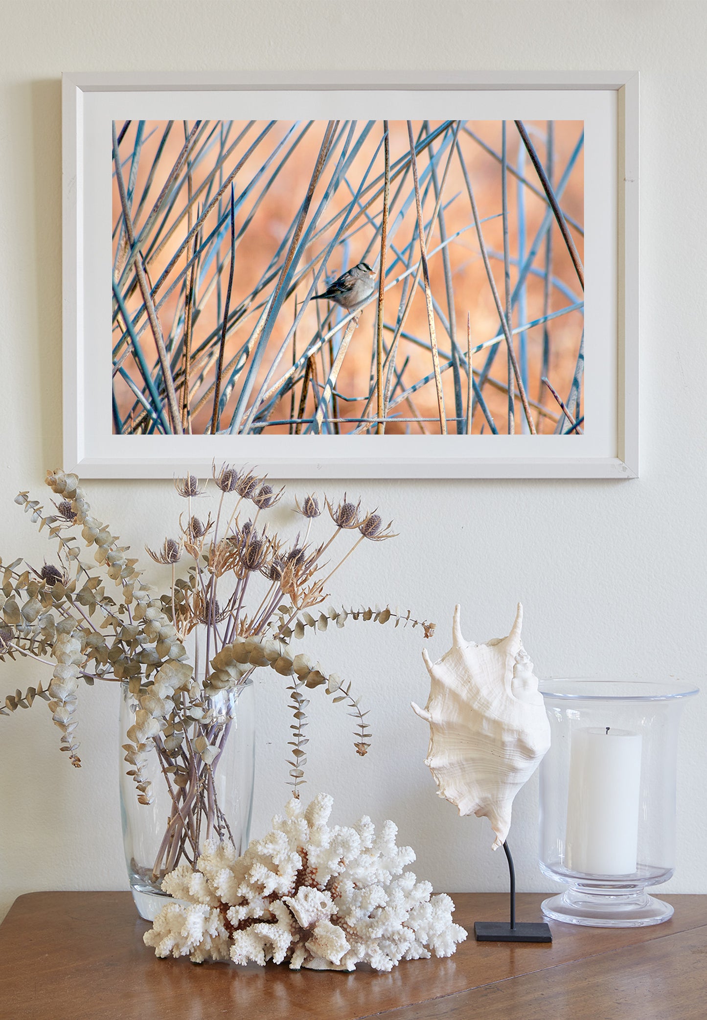 Sparrow Bird Picture in Reeds and Cattails as Fine Art Nature Wall Decor