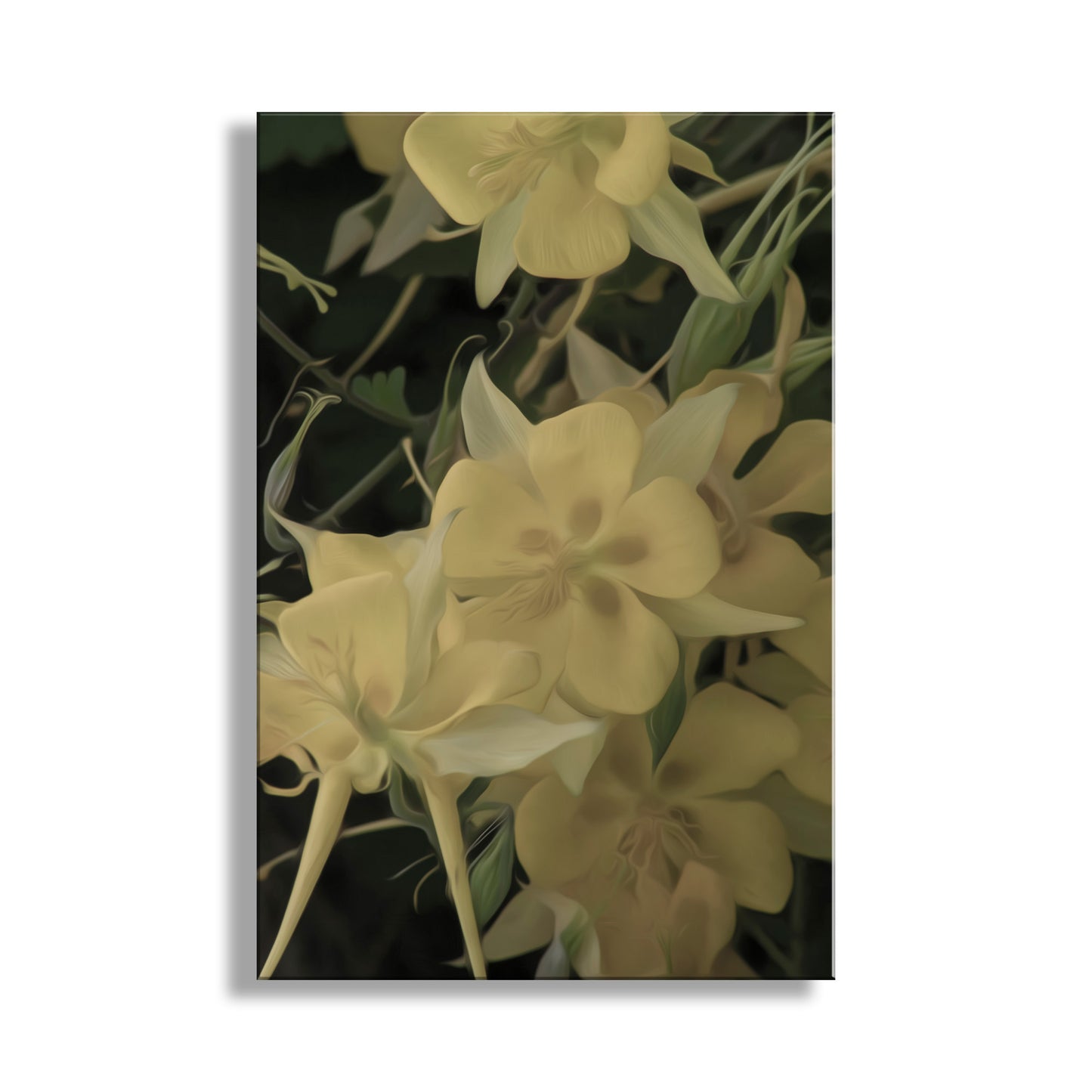 Columbine Flower Wall Decor in Arizona Desert Canyon
