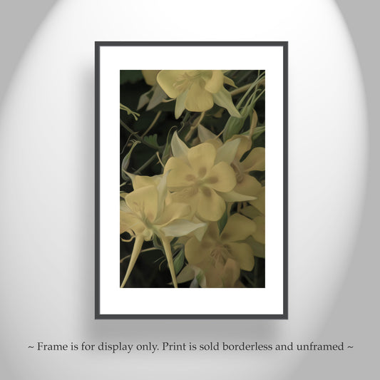 Yellow Columbine Flower Wall Decor | Arizona Desert Canyon