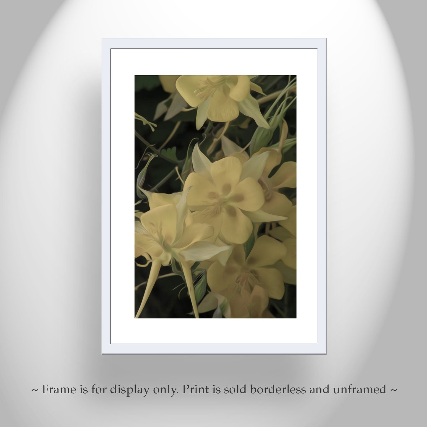 Columbine Flower Wall Decor in Arizona Desert Canyon