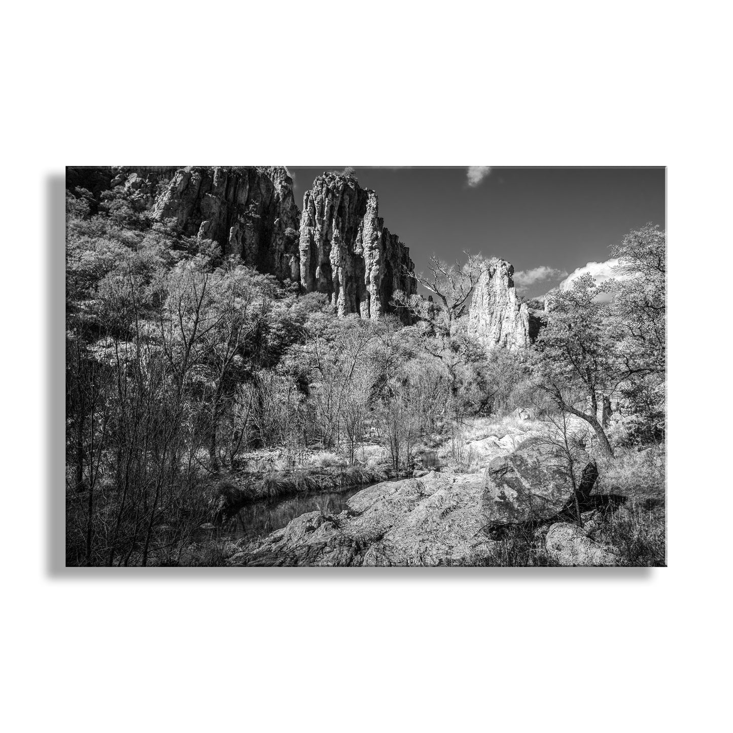 Desert Canyon Wilderness Black and White Landscape Photograph