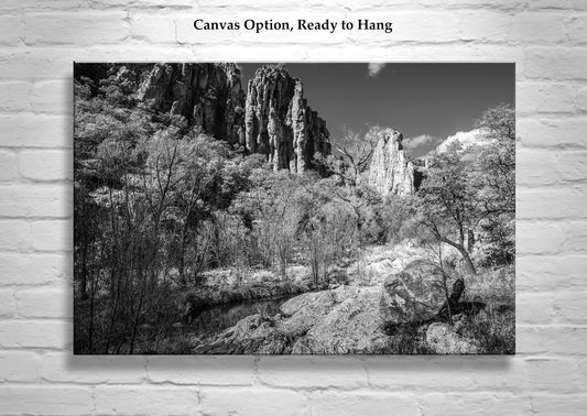 Desert Canyon Wilderness Black and White Landscape Photograph