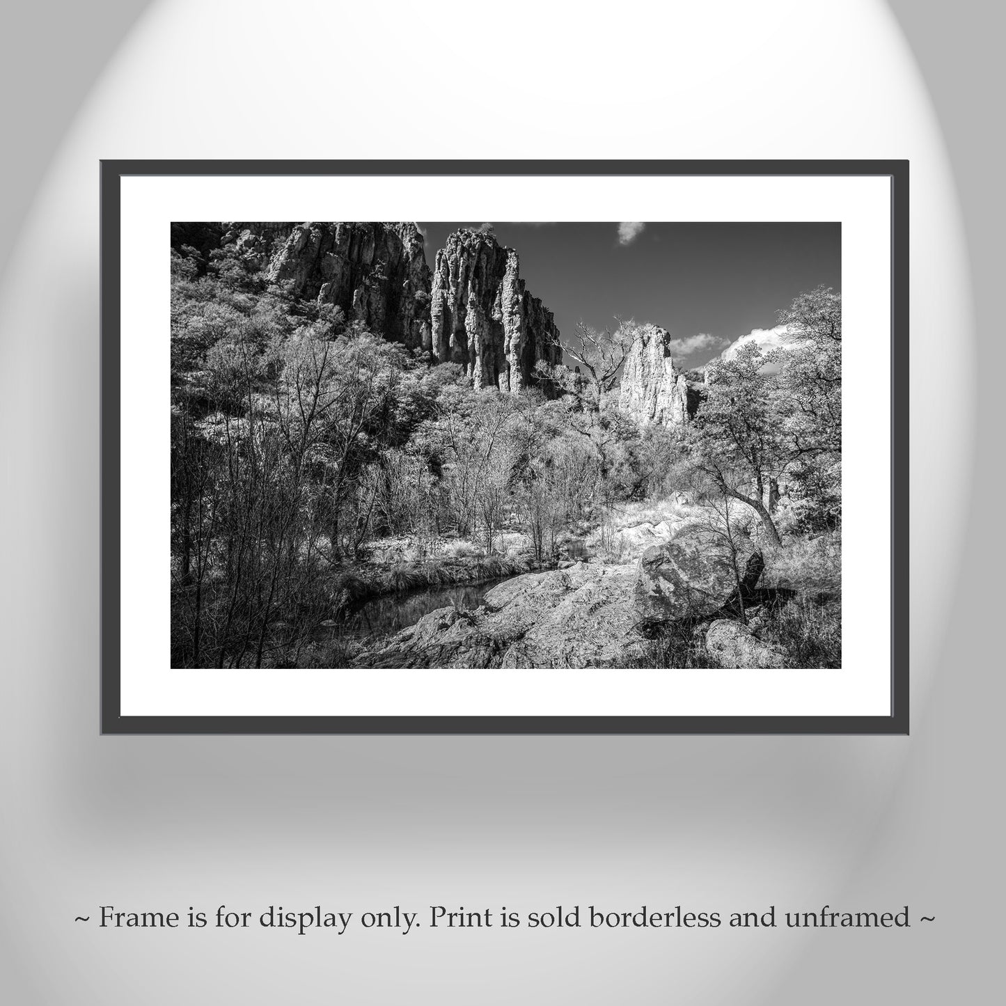 Desert Canyon Wilderness Black and White Landscape Photograph