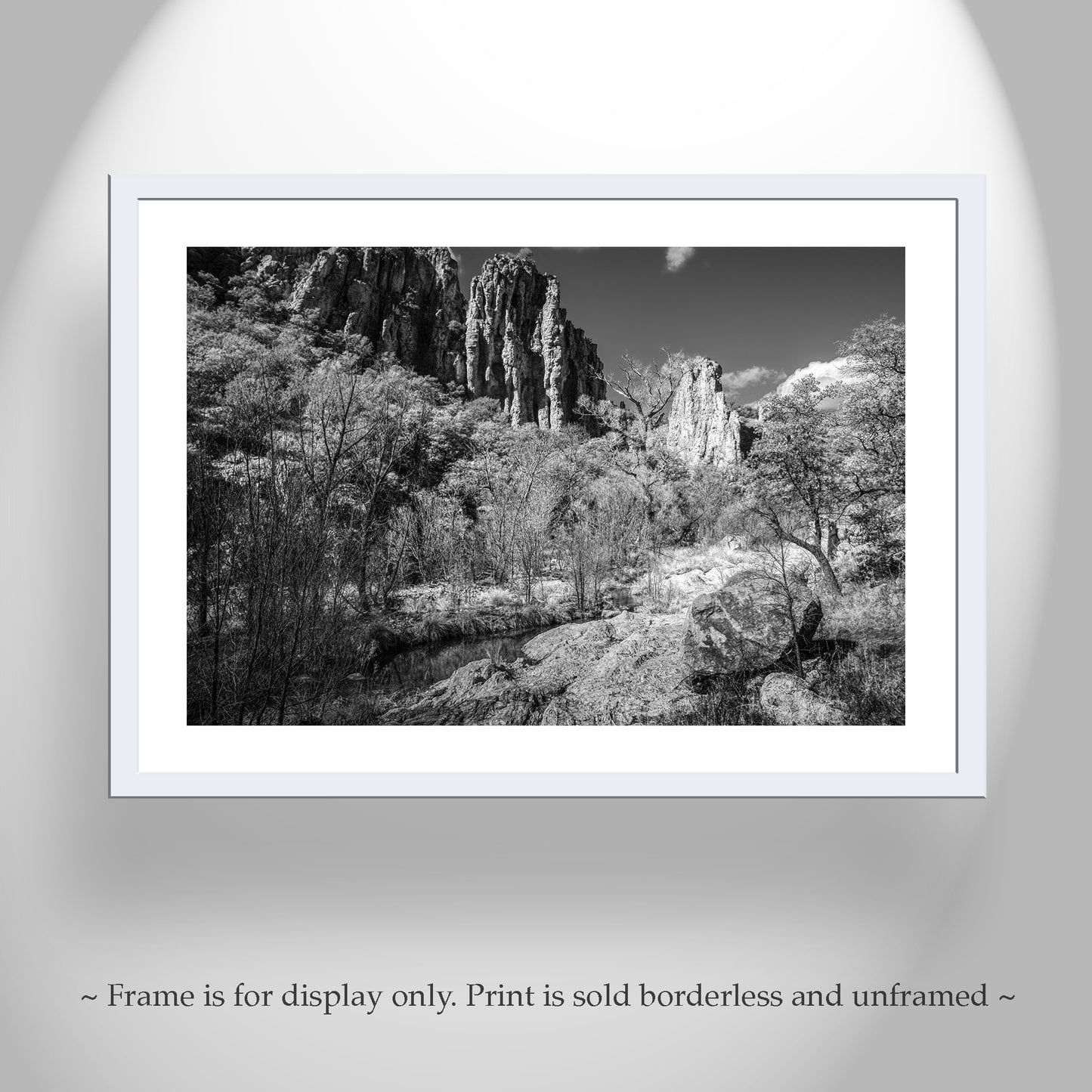 Desert Canyon Wilderness Black and White Landscape Photograph