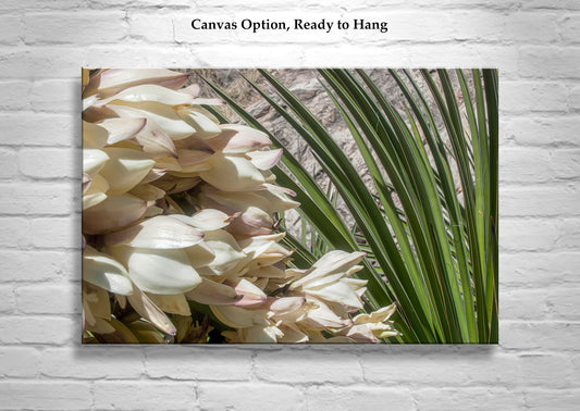 Desert Yucca Flower Art | Botanical Southwest Style Wall Decor
