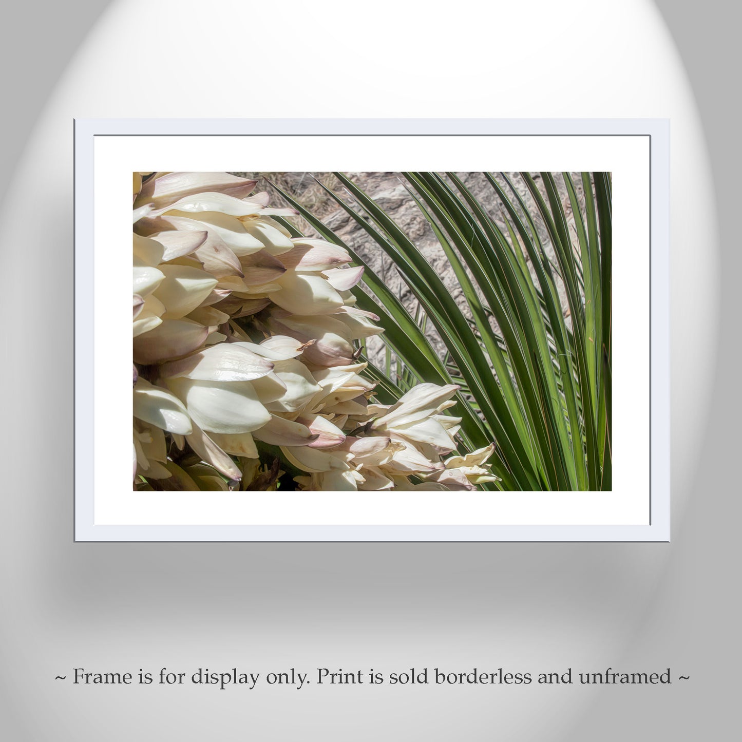 Desert Yucca Flower Art | Botanical Southwest Style Wall Decor