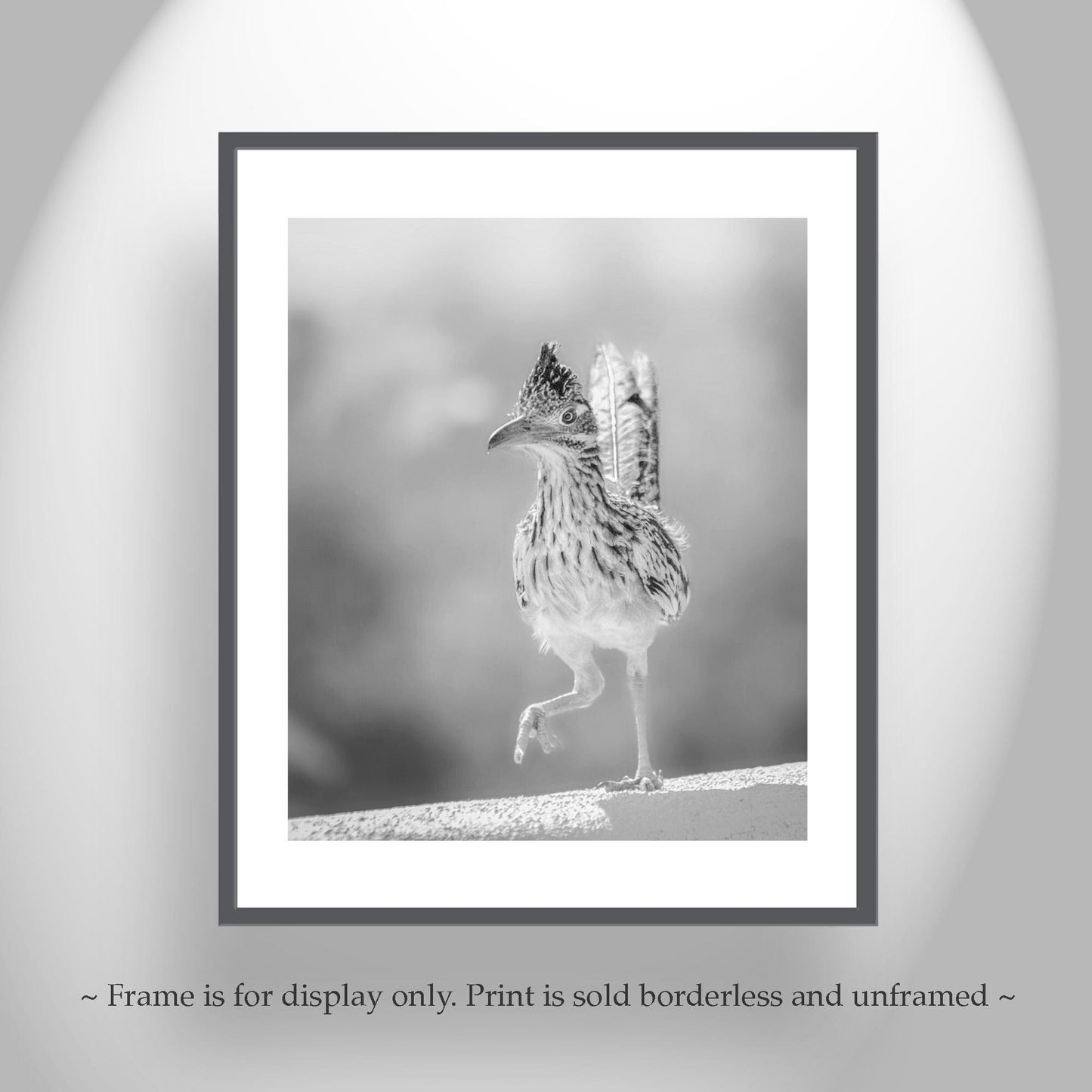 Desert Roadrunner Bird Art – Black and White Arizona Wildlife Print