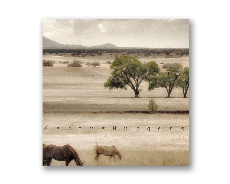 Western Horse Ranch Landscape Photography Art Print in Panorama | Tucson Nogales Mexico Border