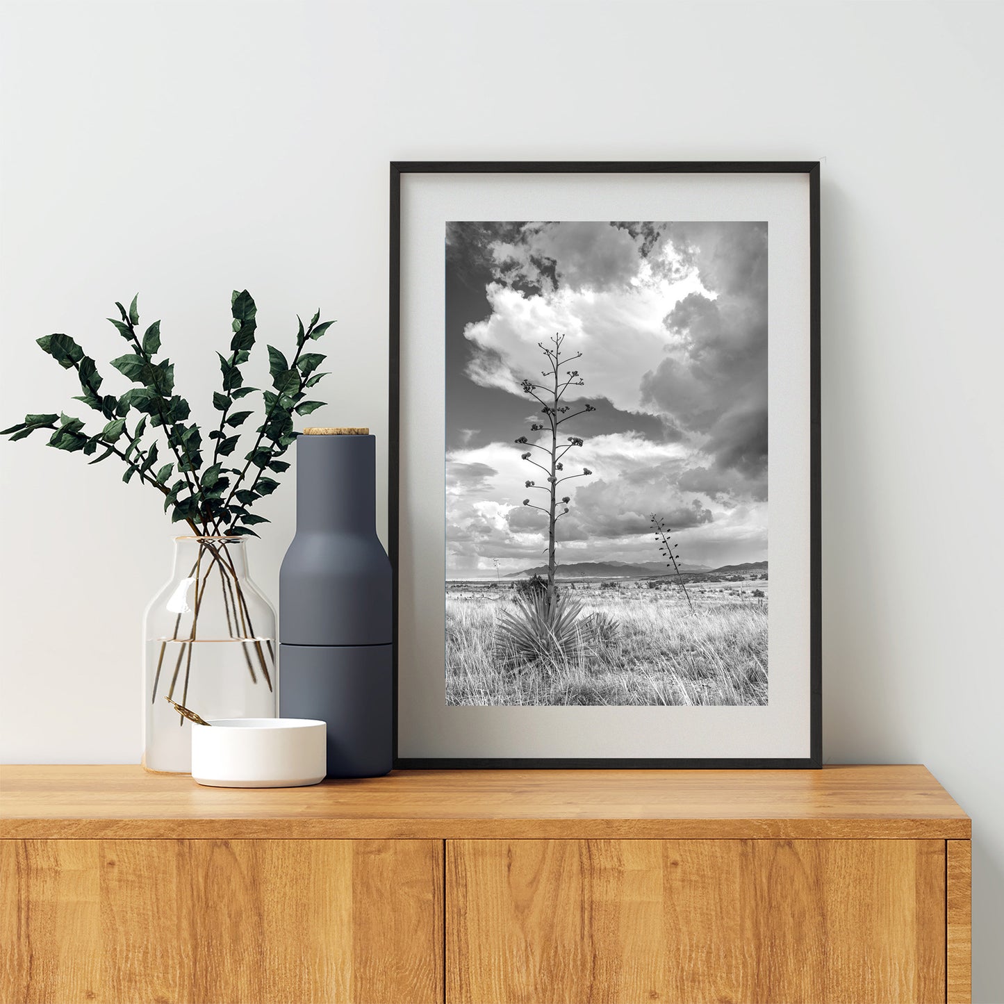 Southern Arizona Monsoon Landscape | Black and White Wall Art Print
