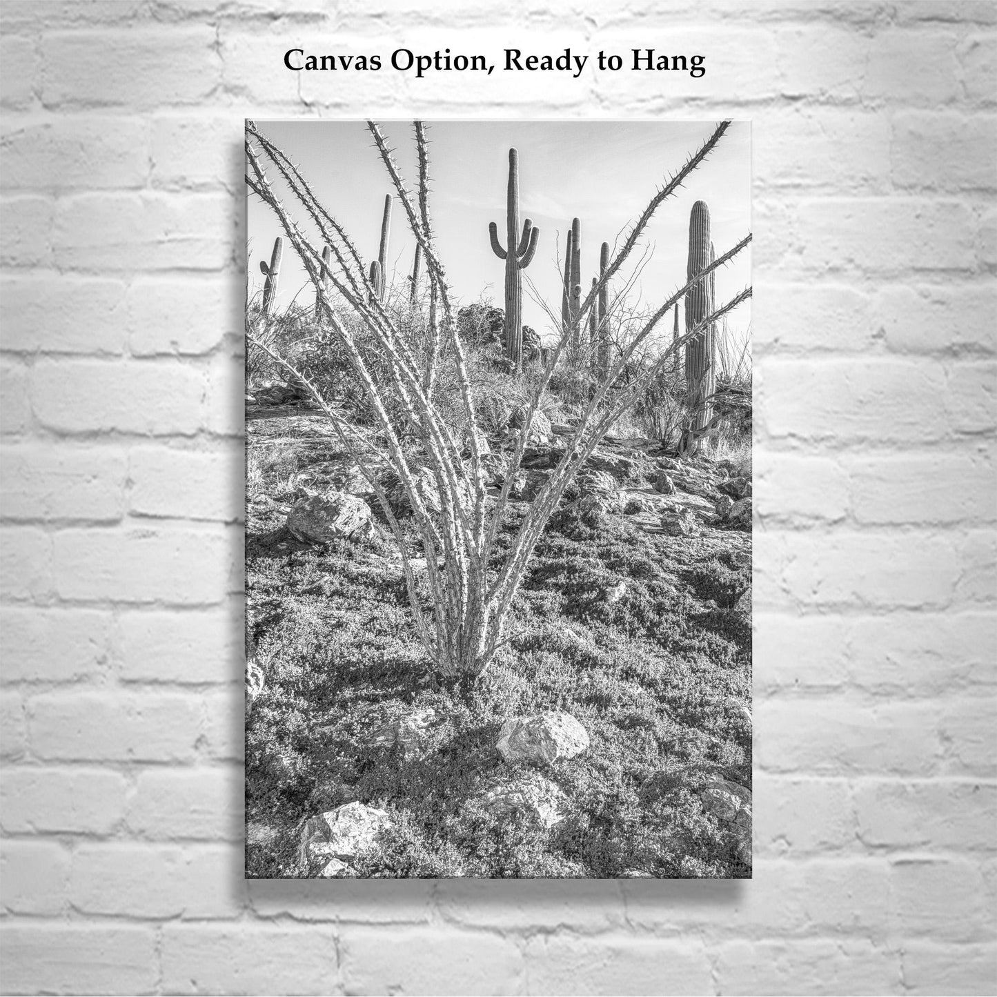 Ocotillo and Saguaro in Black and White | Arizona Desert Art