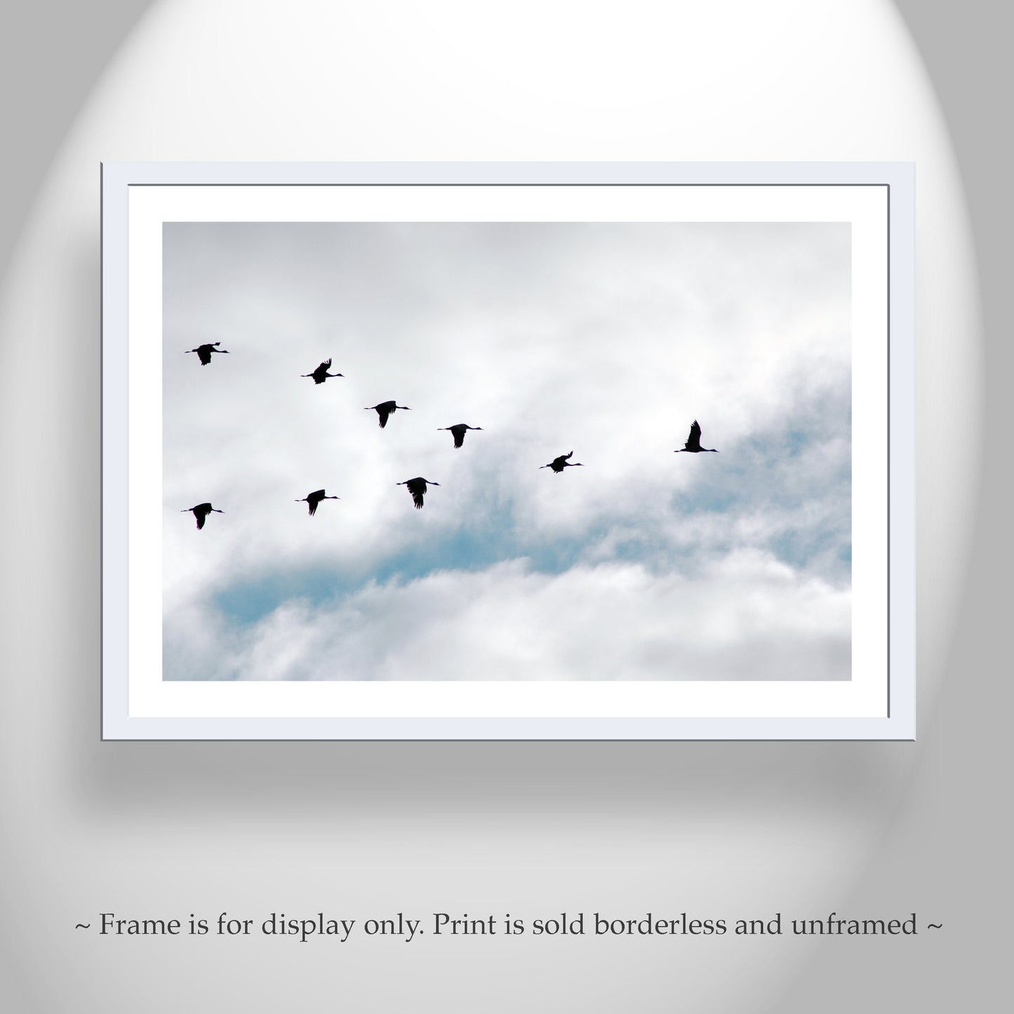 Sandhill Crane Birds in Flight Art Print | Avian Fine Art Gift
