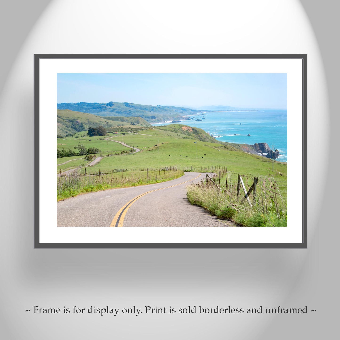 Mendocino Coast Sonoma Coast Bodega Bay Art Print