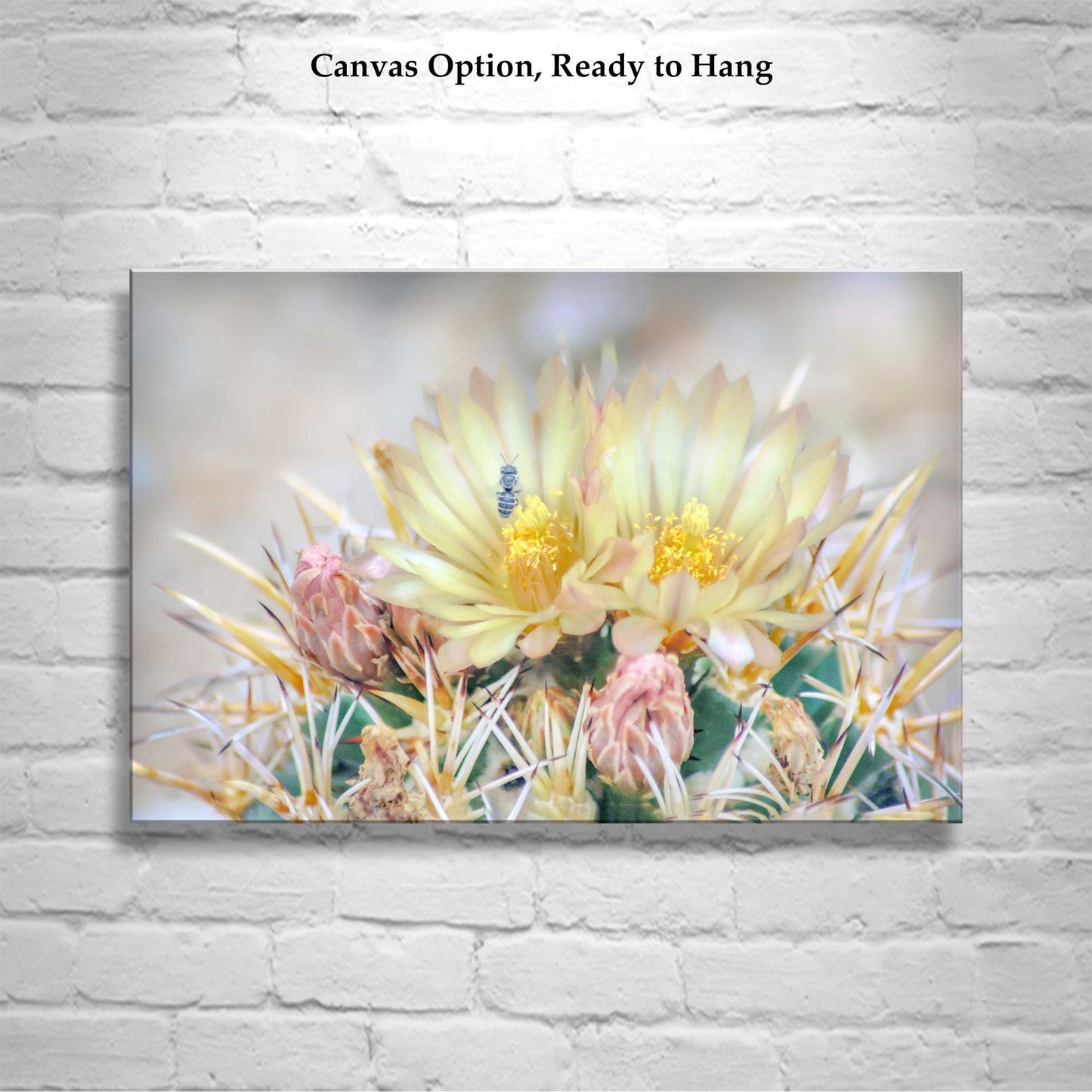 Pink Cactus Flower Art with Bee | Tucson Arizona Botanical Wall Print