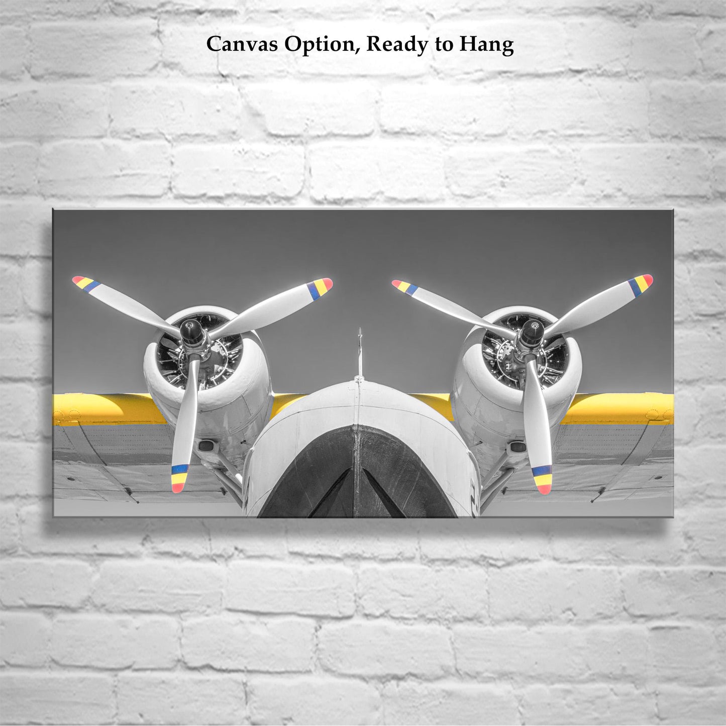 PanAm Baby Clipper Flying Boat Photo | Vintage Aviation Panorama Print