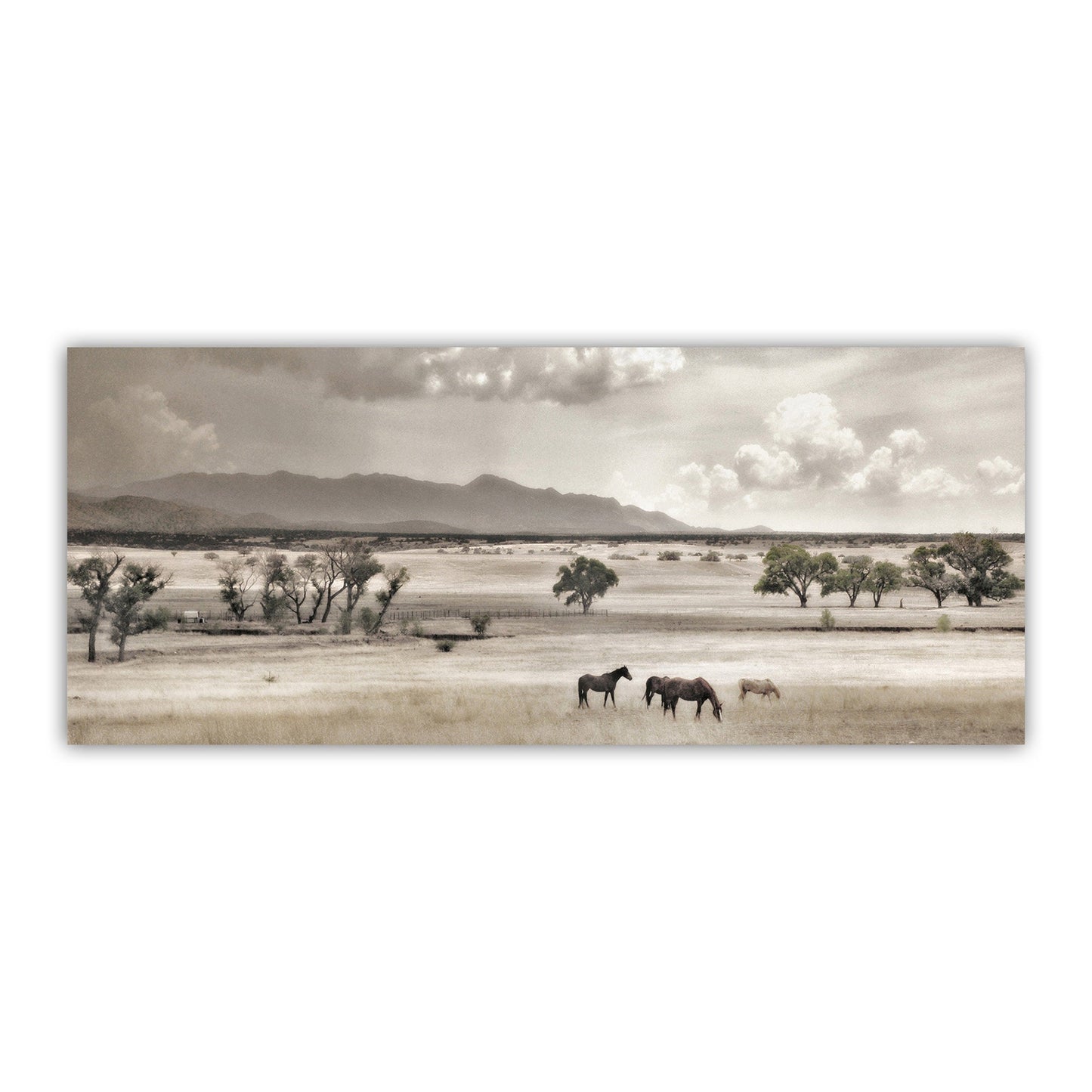 Western Horse Ranch Landscape Photography Art Print in Panorama | Tucson Nogales Mexico Border