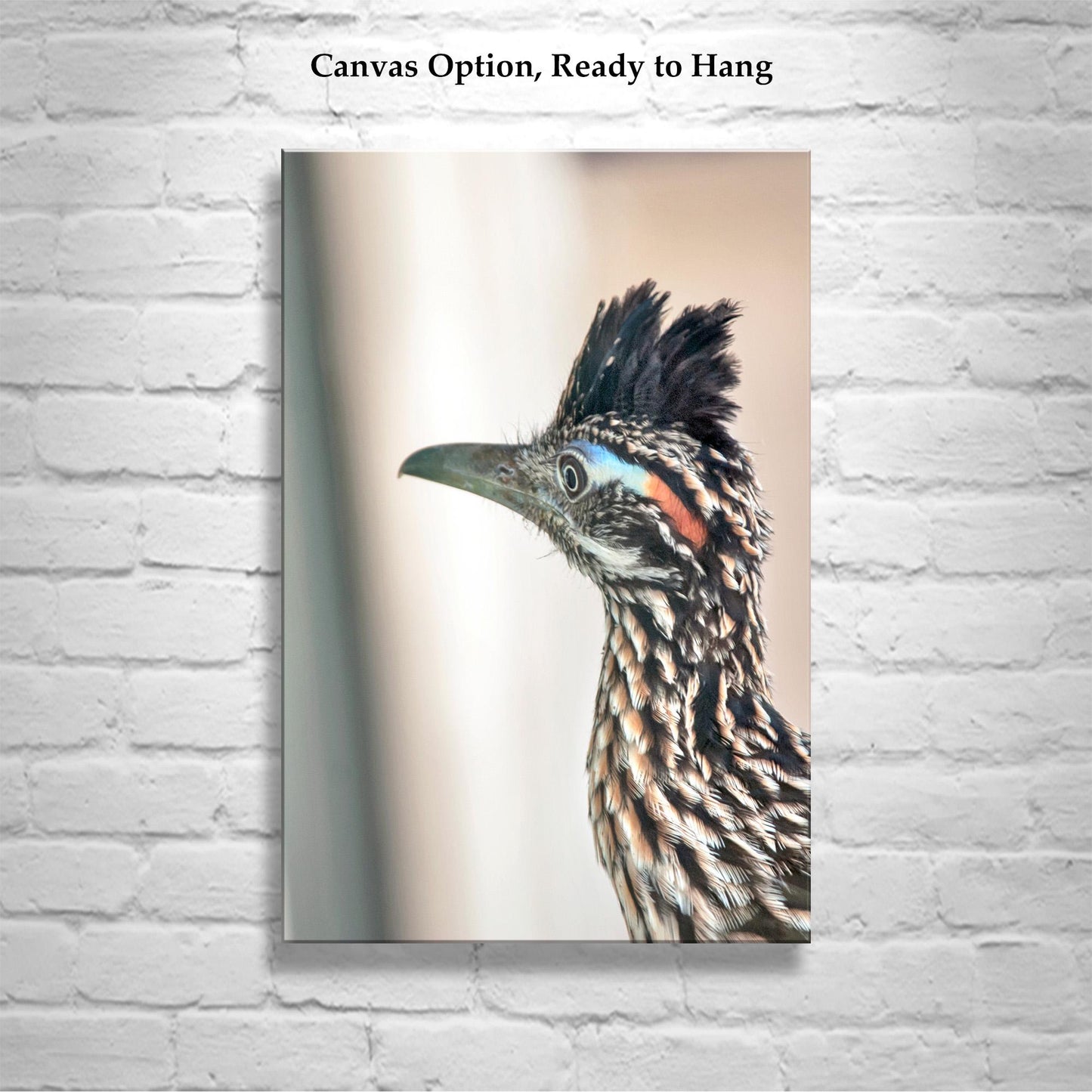 Roadrunner Bird Art Print | Arizona Desert Wildlife Print