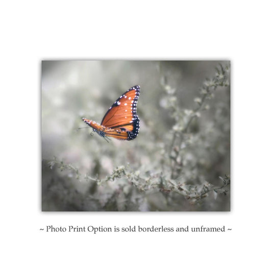 Queen Butterfly in Flight - Dreamy Nature Photography Wall Art