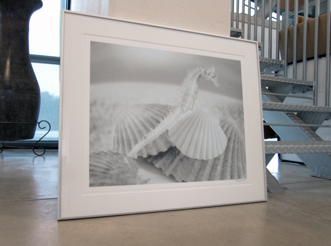 Bathroom Wall Decor with Seahorse | Surreal Seashell Art Photo