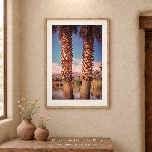Agua Caliente Regional Park art in Tucson Arizona by Murray Bolesta!