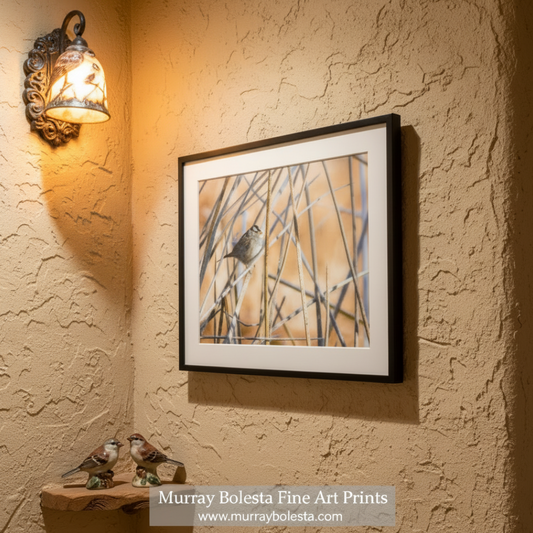 Framed print of a bird perched on reeds with a plain background - Arivaca Arizona wetlands bird art by Murray Bolesta!