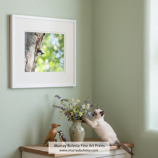 A woodpecker peeks out from a tree trunk, its head and beak visible against the blurred green foliage. Acorn Woodpecker Bird Artwork | Spring Colors Birder Gift Print by Murray Bolesta