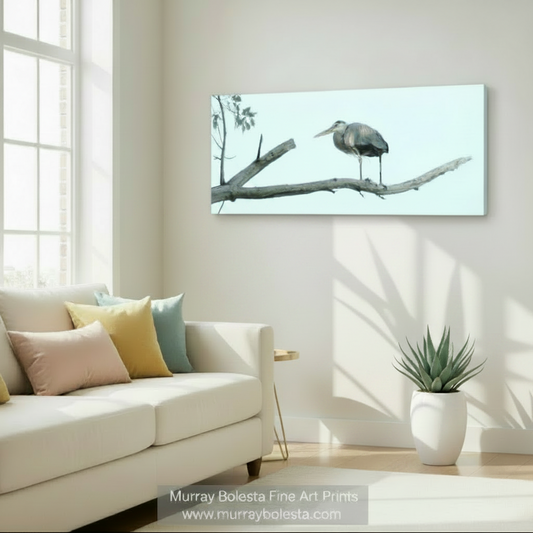 Great Blue Heron Bird Art by Murray Bolesta